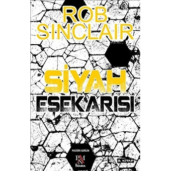 Siyah Eşekarısı 2. Kitap Rob Sinclair