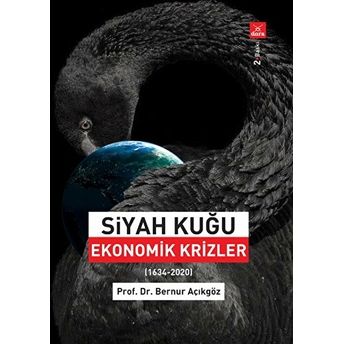 Siyah Kuğu Ekonomik Krizler