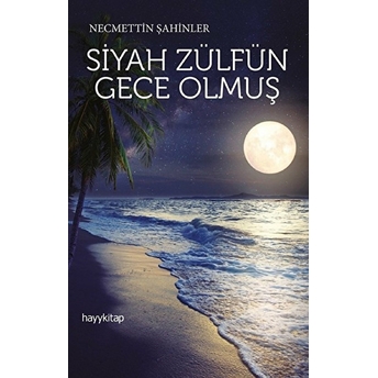 Siyah Zülfün Gece Olmuş Necmettin Şahinler