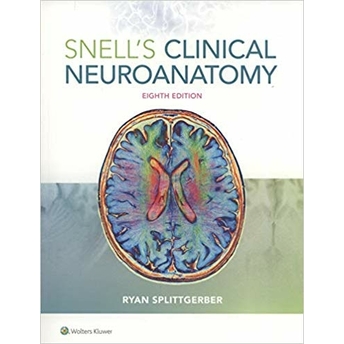 Snell'S Clinical Neuroanatomy Ryan Splittgerber