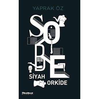 Sobe Siyah Orkide Yaprak Öz