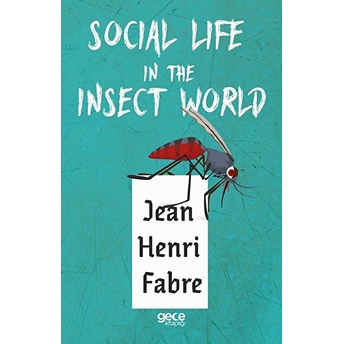 Social Life In The Insect World