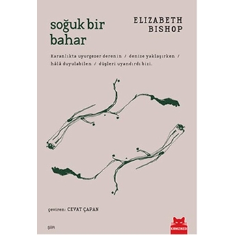 Soğuk Bir Bahar Elizabeth Bishop