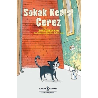 Sokak Kedisi Çerez Suat Çağlayan