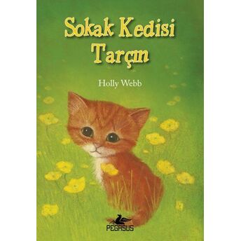 Sokak Kedisi Tarçın Holly Webb