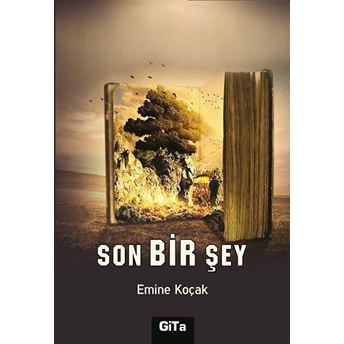 Son Bir Şey Emine Koçak