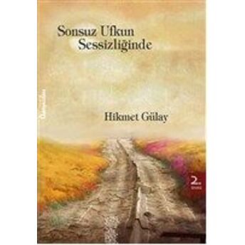 Sonsuz Ufkun Sessizliğinde Hikmet Gülay