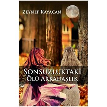 Sonsuzluktaki Ölü Arkadaşlık Zeynep Kayacan