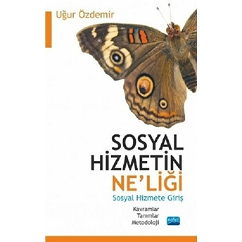 Sosyal Hizmetin Ne'liği - Sosyal Hizmete Giriş