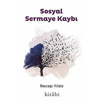 Sosyal Sermaye Kaybı