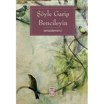 Şöyle Garip Bencileyin Senai Demirci