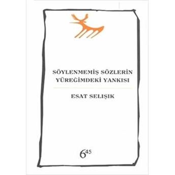 Söylenmemiş Sözlerin Yüreğimdeki Yankısı Esat Selışık