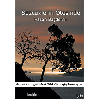 Sözcüklerin Ötesinde Hasan Başdemir