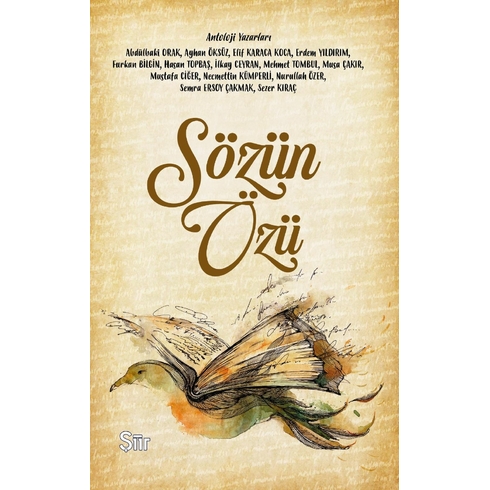 Sözün Özü Kolektif