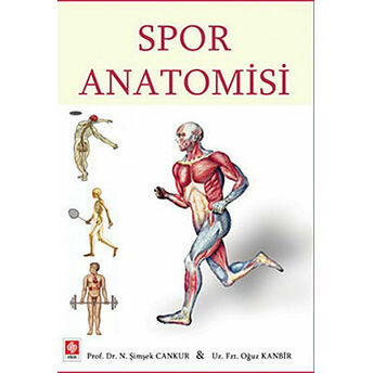 Spor Anatomisi N. Şimşek Cankur