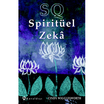 Sq Spiritüel Zekâ Cindy Wigglesworth