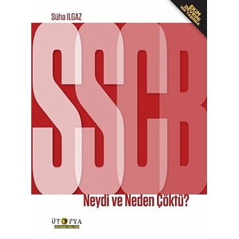 Ssbc Neydi Ve Neden Çöktü