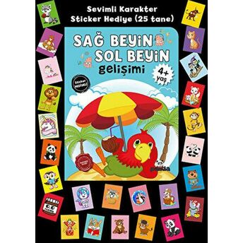 Stickerlı 4 Yaş Sağ Beyin Sol Beyin Gelişim Kolektıf