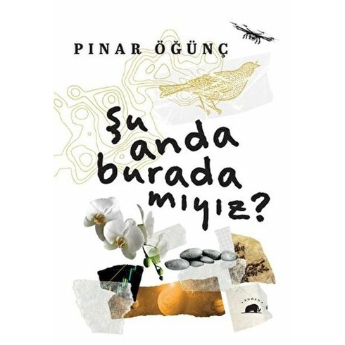 Şu Anda Burada Mıyız? Pınar Öğünç