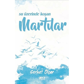 Su Üzerinde Koşan Martılar