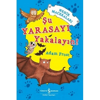 Şu Yarasayı Yakalayın! Adam Frost