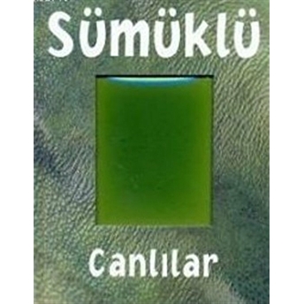 Sümüklü Canlilar