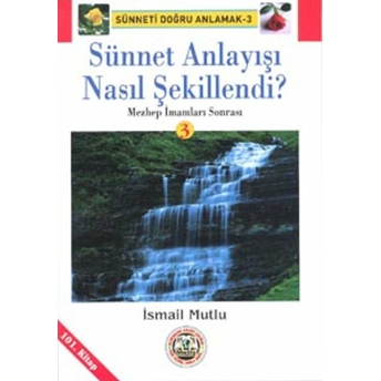 Sünnet Anlayışı Nasıl Şekillendi? 1 Cilt