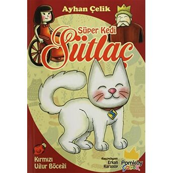 Süper Kedi Sütlaç Ayhan Çelik