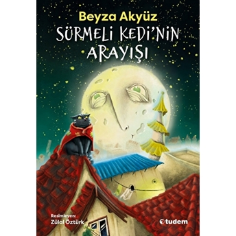 Sürmeli Kedi'nin Arayışı Beyza Akyüz