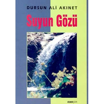 Suyun Gözü Dursun Ali Akınet