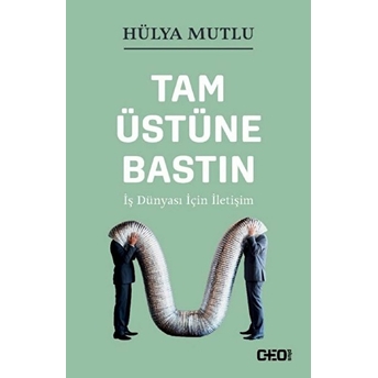 Tam Üstüne Bastın - Iş Dünyası Için Iletişim Hülya Mutlu