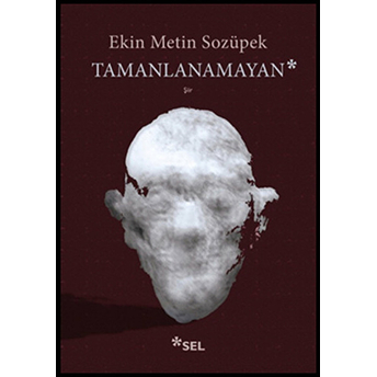 Tamanlanamayan Ekin Metin Sozüpek