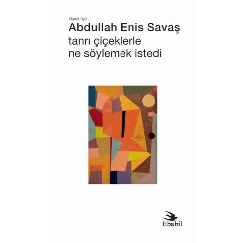 Tanrı Çiçeklerle Ne Söylemek Istedi - Abdullah Enis Savaş - Abdullah Enis Savaş