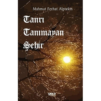 Tanrı Tanımayan Şehir - Mahmut Ferhat Alptekin