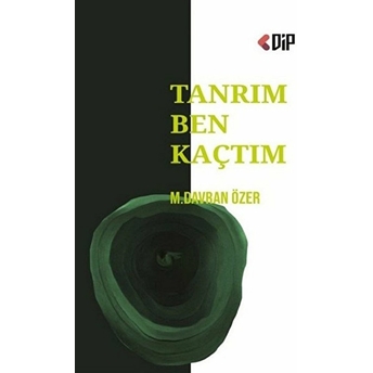 Tanrım Ben Kaçtım M. Davran Özer