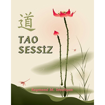 Tao Sessiz Raymond M. Smullyan