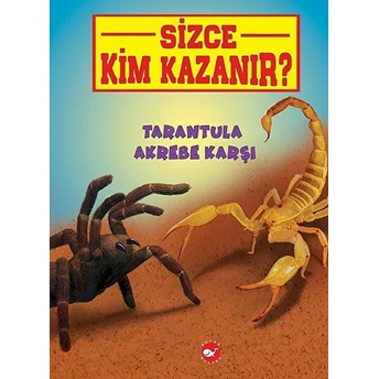 Tarantula Akrebe Karşı