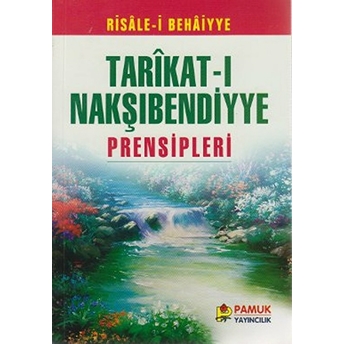 Tarıkat-I Nakşıbendiyye Prensipleri (Tasavvuf-006 / P17) Ali Kadri