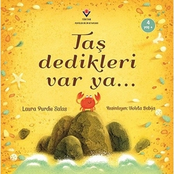 Taş Dedikleri Var Ya... Laura Purdie Salas