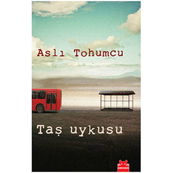 Taş Uykusu Aslı Tohumcu