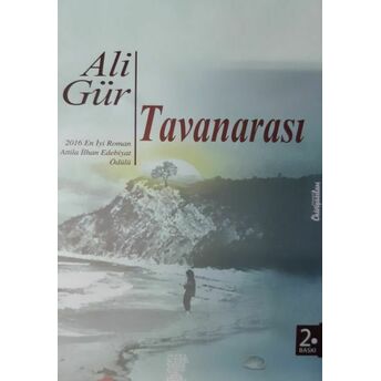 Tavanarası Ali Gür