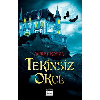 Tekinsiz Okul Murat Kömür