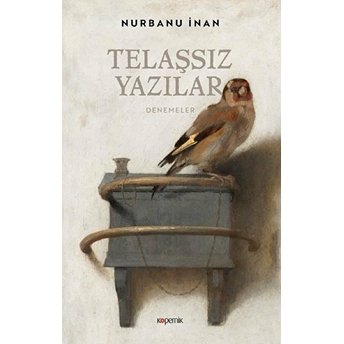 Telaşsız Yazılar Nurbanu Inan