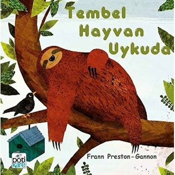 Tembel Hayvan Uykuda Frann Preston Gannon