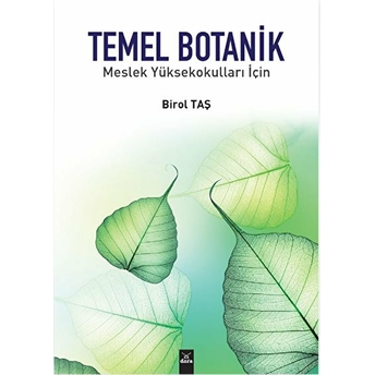 Temel Botanik