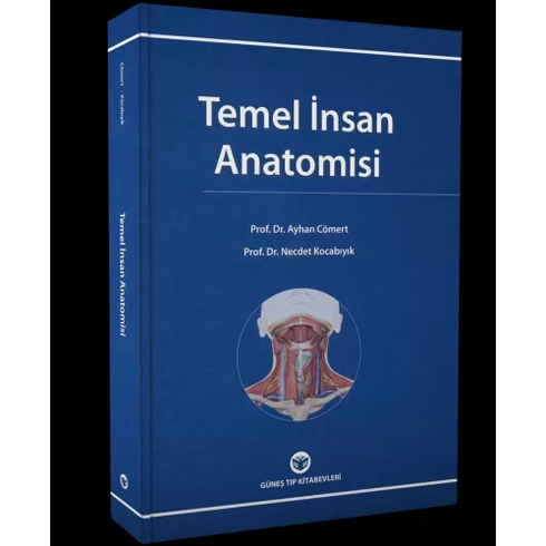 Temel Insan Anatomisi Ayhan Cömert