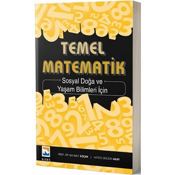 Temel Matematik Hatice Gülsün Akay