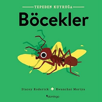 Tepeden Kuyruğa - Böcekler Stacey Roderick