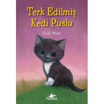 Terk Edilmiş Kedi Puslu Holly Webb