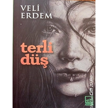 Terli Düş